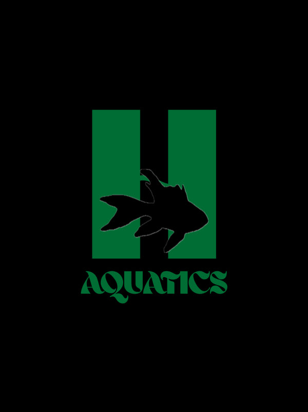 Henry Aquatics